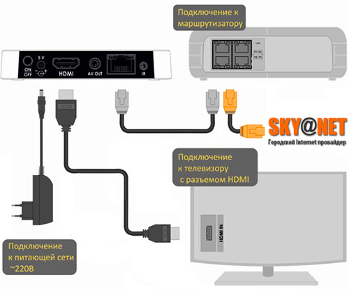 Shema NV501 (1)